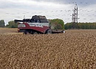 Сельхозпроизводители Томской области получат дополнительную финансовую поддержку из федерального и областного бюджетов